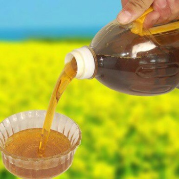 压榨菜籽油四级