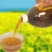 压榨菜籽油四级