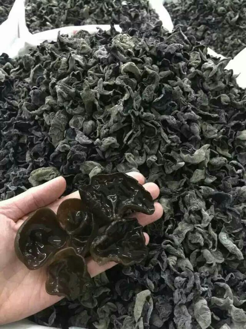 干木耳一级