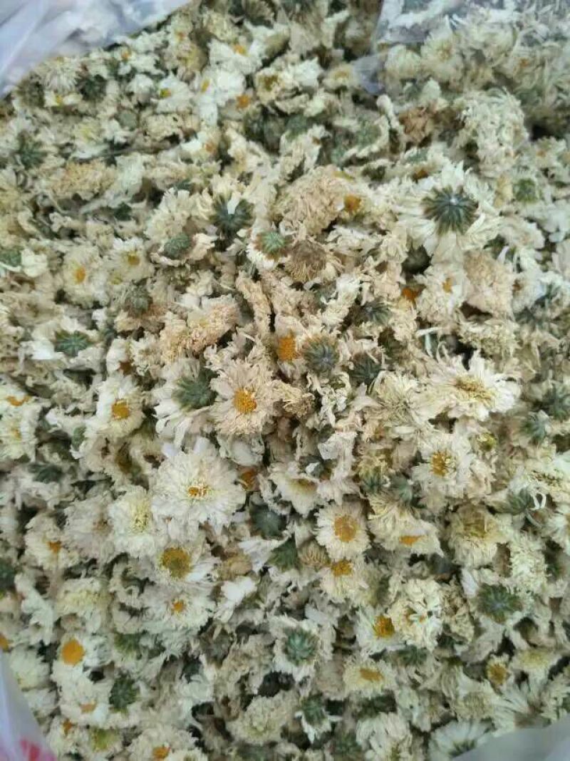 白菊花茶