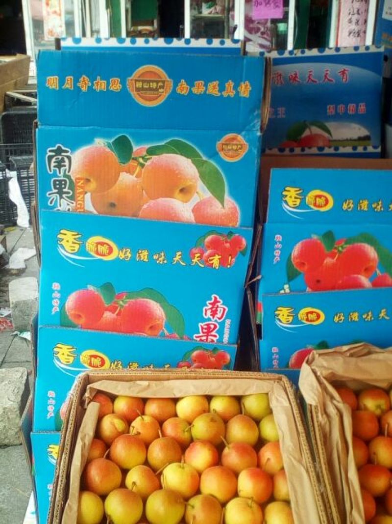【推荐】应季水果南果梨光果60~100g大量供应保质保量