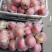 砀山红富士苹果色泽红艳脆甜，诚邀电商平台及市场商超