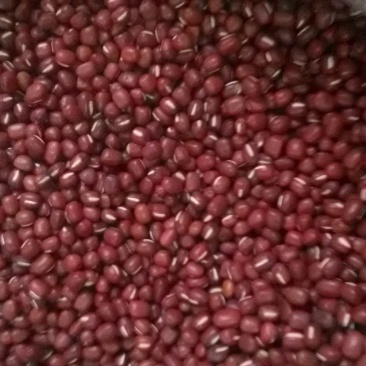 红小豆袋装