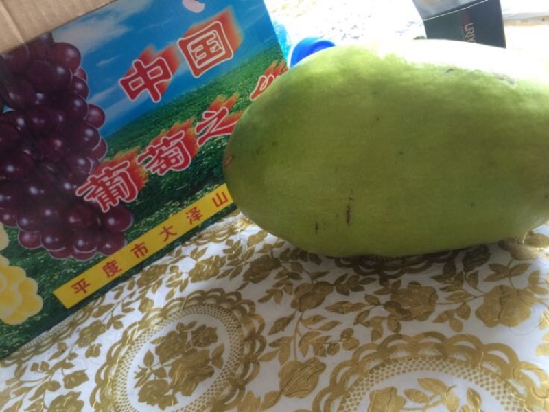 宣木瓜
