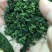 观音茶一级