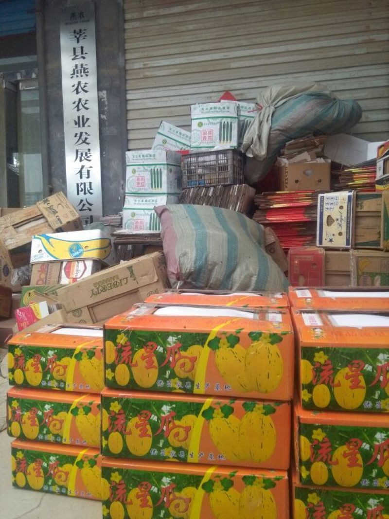 新甜哈密瓜3斤以上长圆形