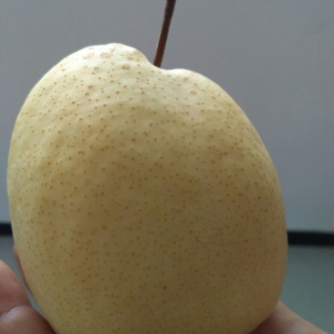 礼泉酥梨纸袋