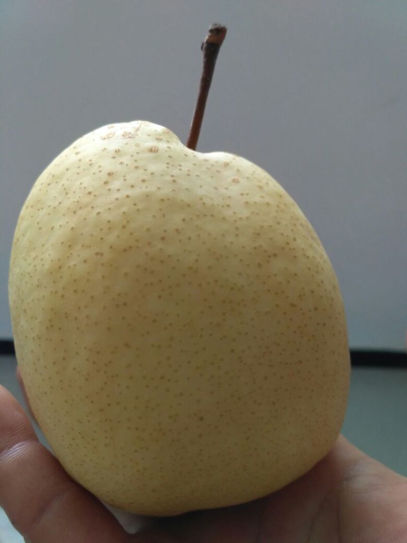 礼泉酥梨纸袋