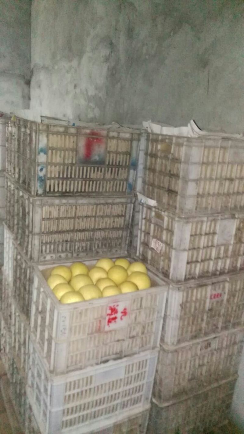 砀山梨250~300g纸箱