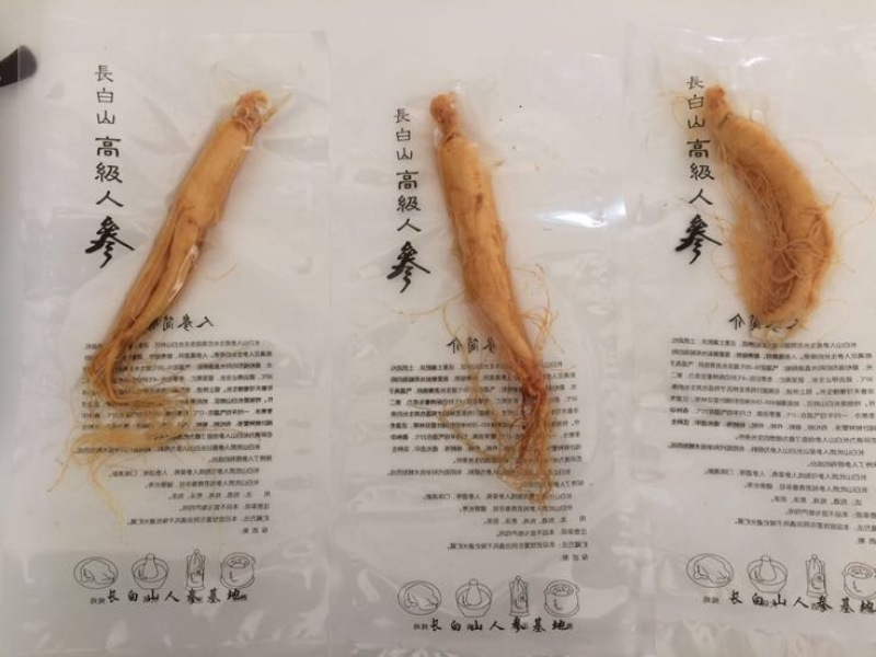 人参