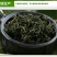 枸杞叶茶一级