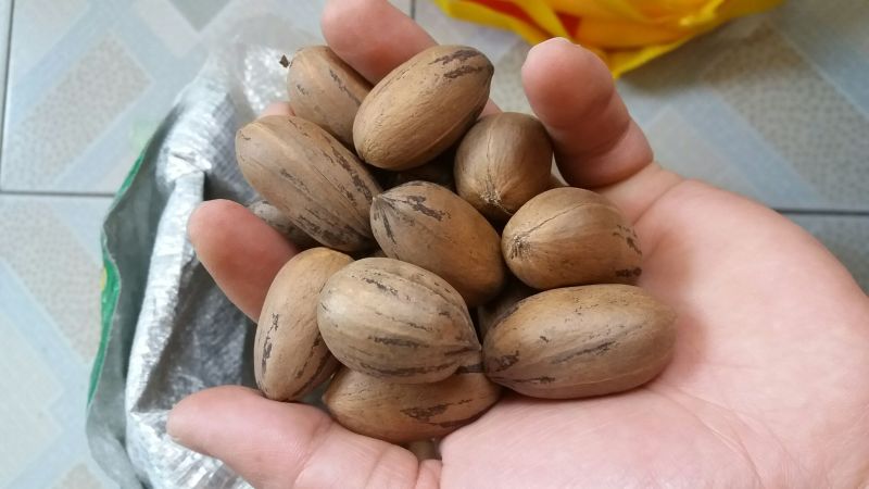 薄皮核桃30mm以上去皮