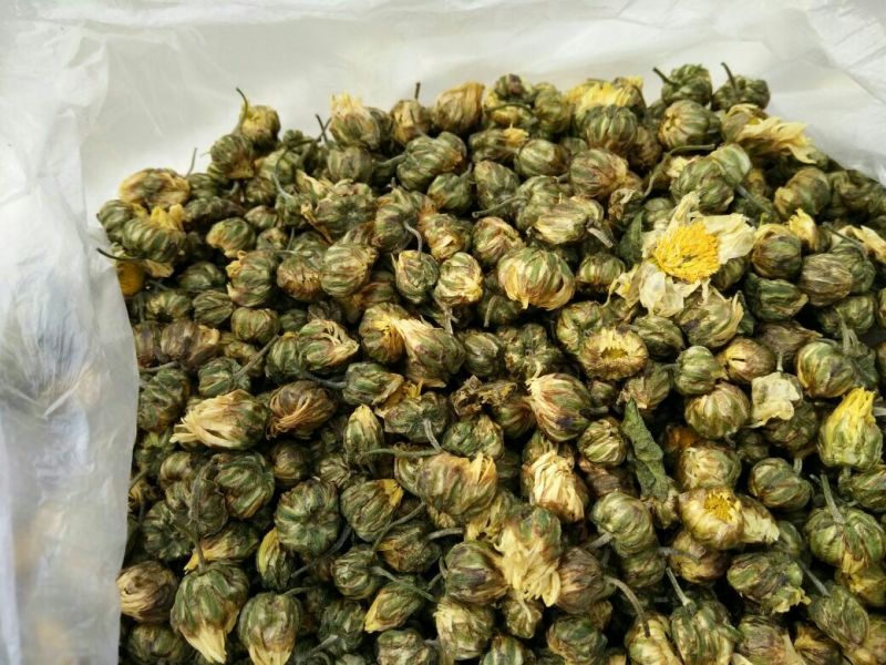 白菊花茶