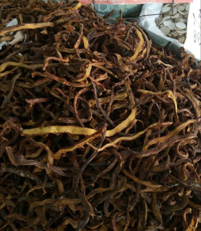 骨碎补