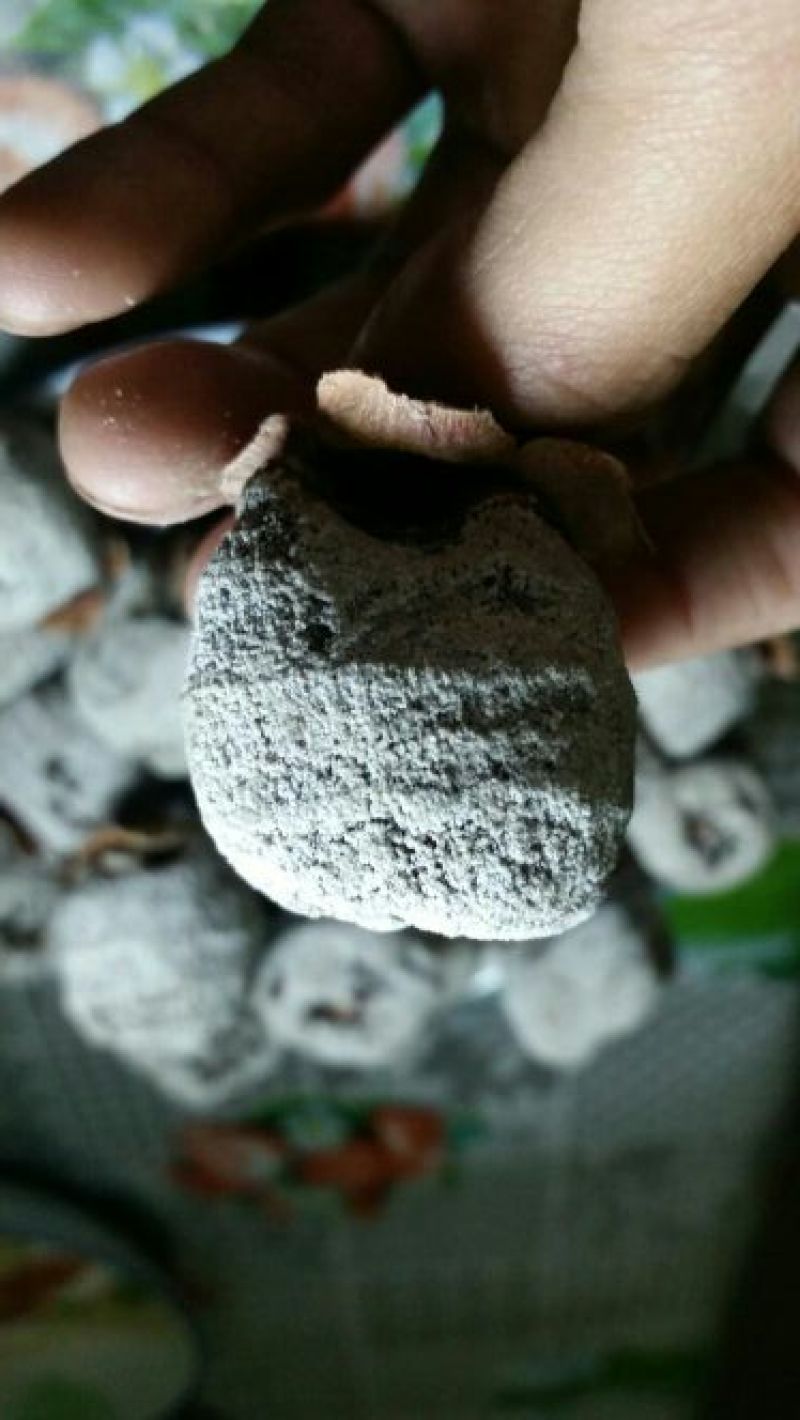 柿饼1两以下
