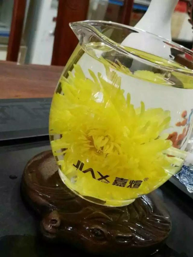 皇菊茶