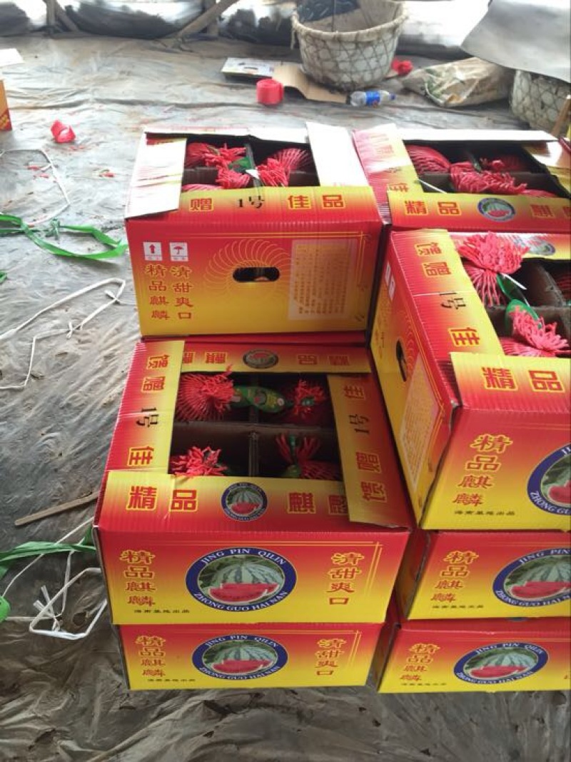 麒麟西瓜保质保量7斤打底8成熟头茬
