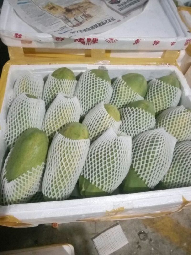木瓜1.5~2斤
