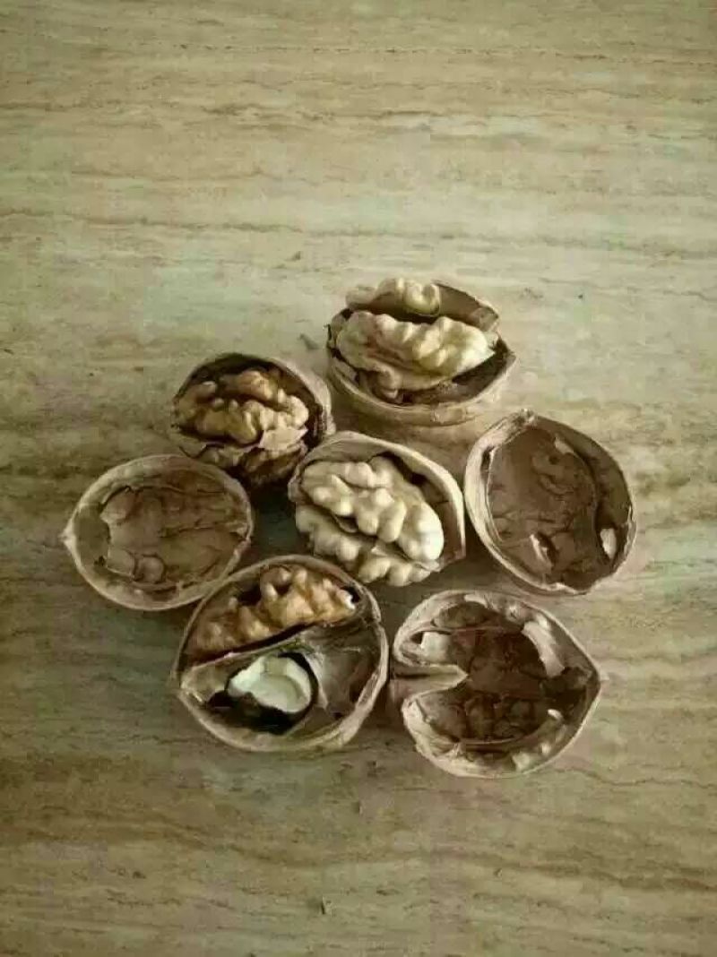 薄皮核桃去皮