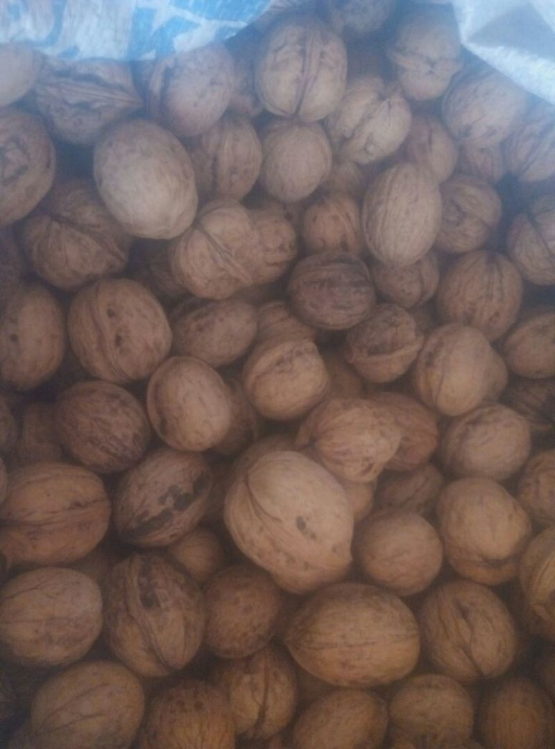 香玲核桃去皮干