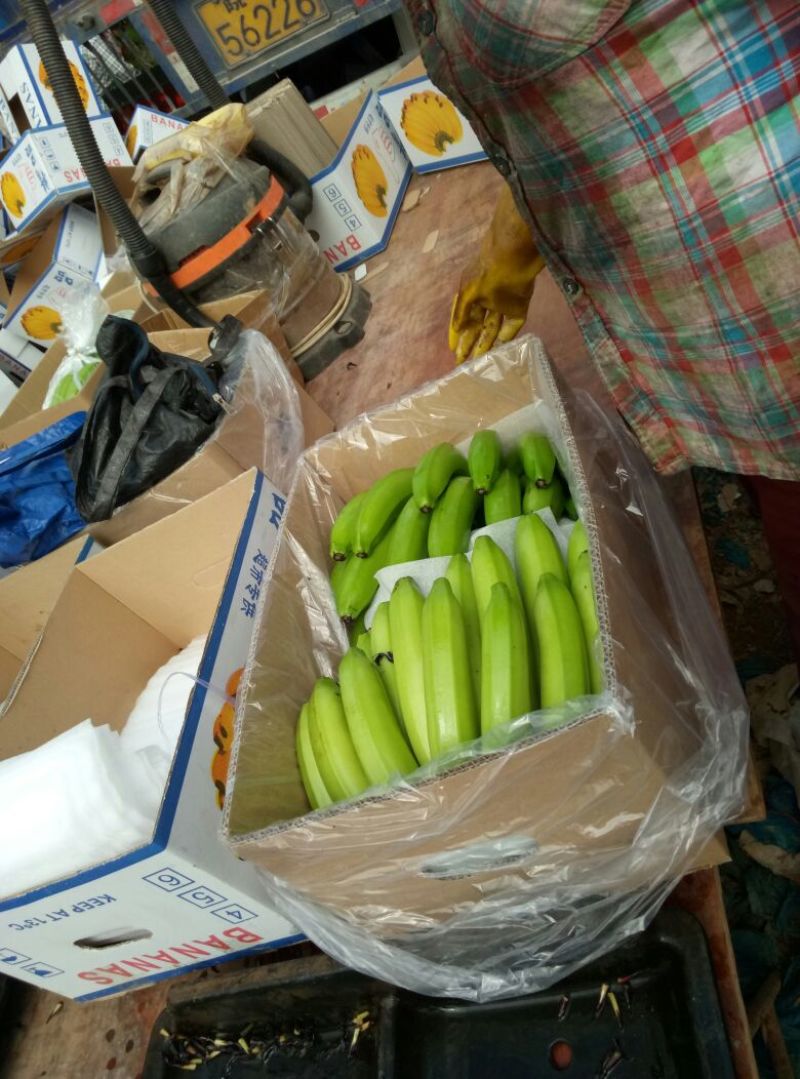 巴西香蕉七成熟