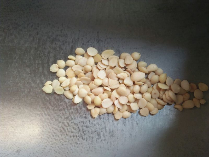 桃仁