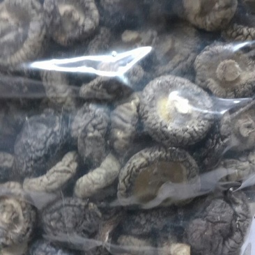 干香菇