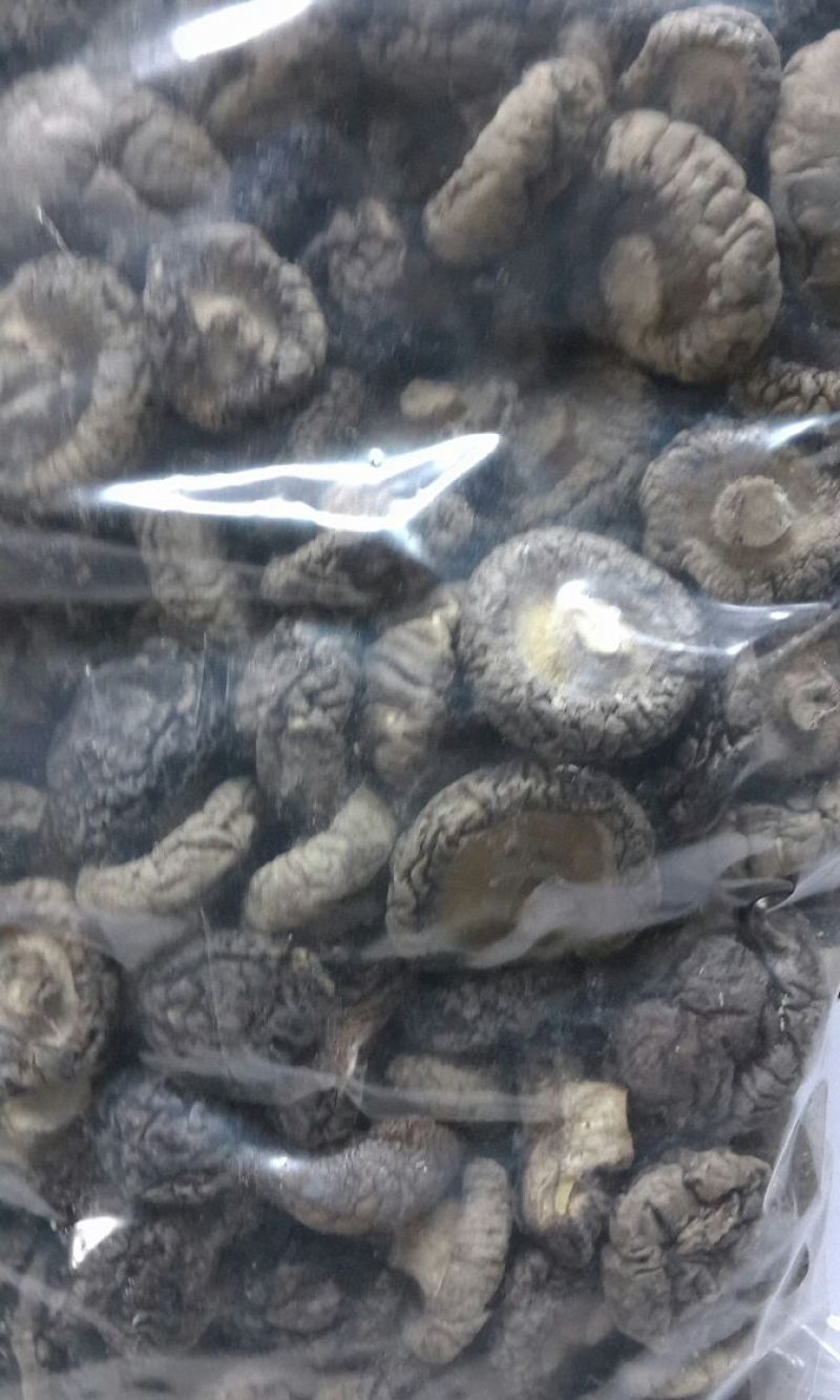 干香菇