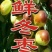 大荔冬枣拐一