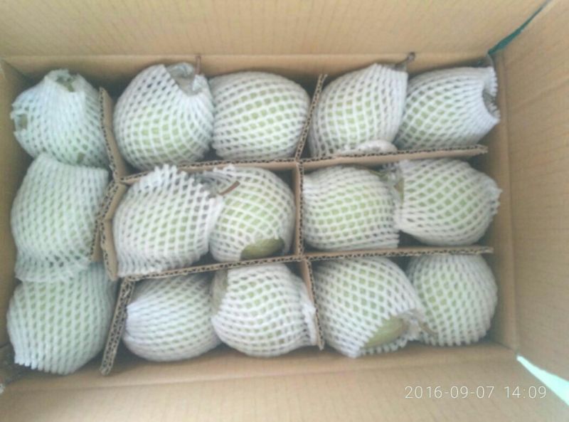 鸭梨550~600g纸加膜