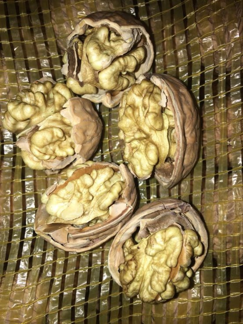 薄皮核桃