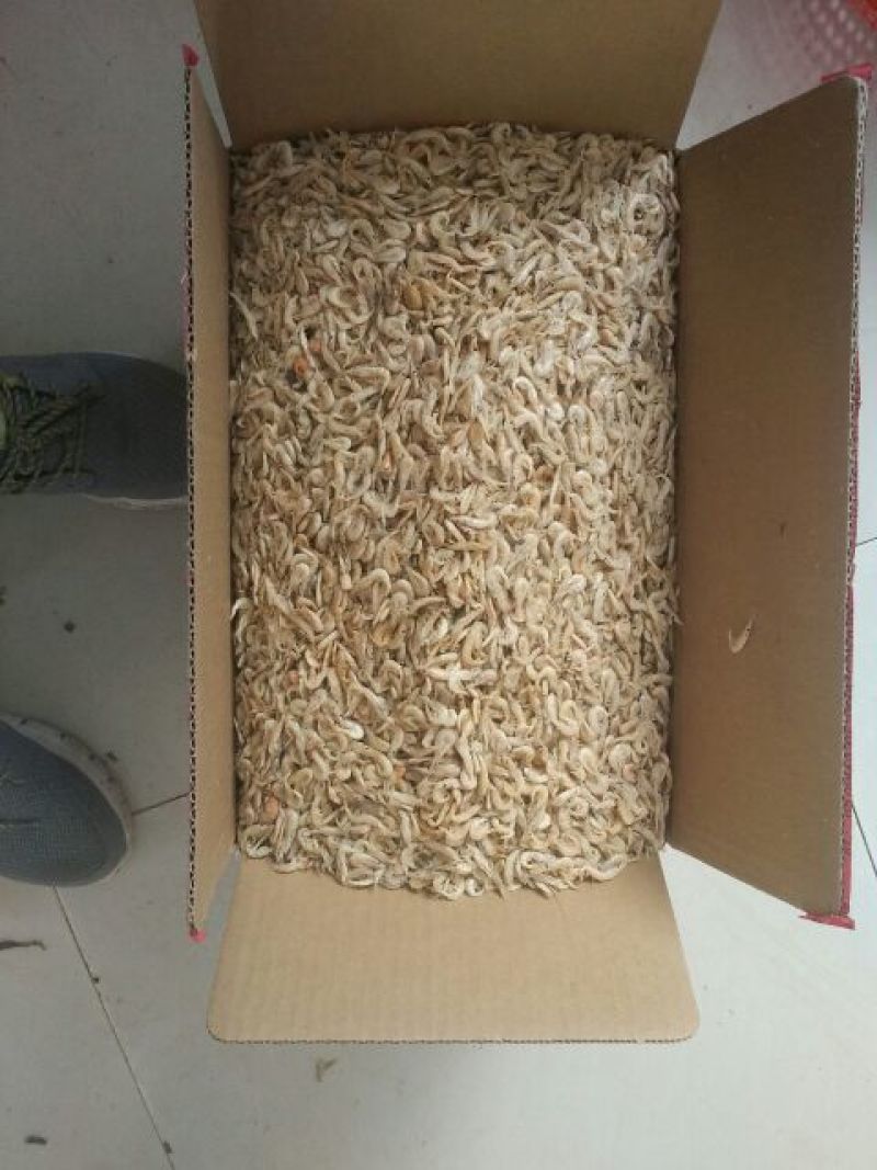 虾皮