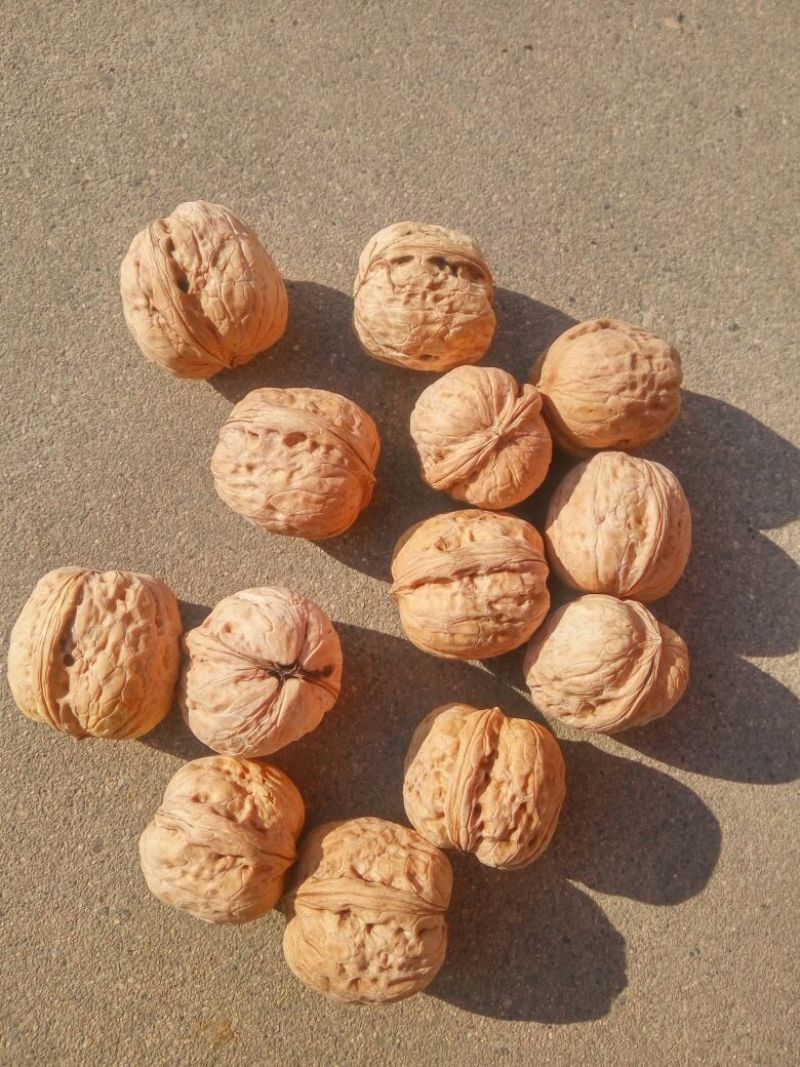 薄皮核桃30mm以上去皮干