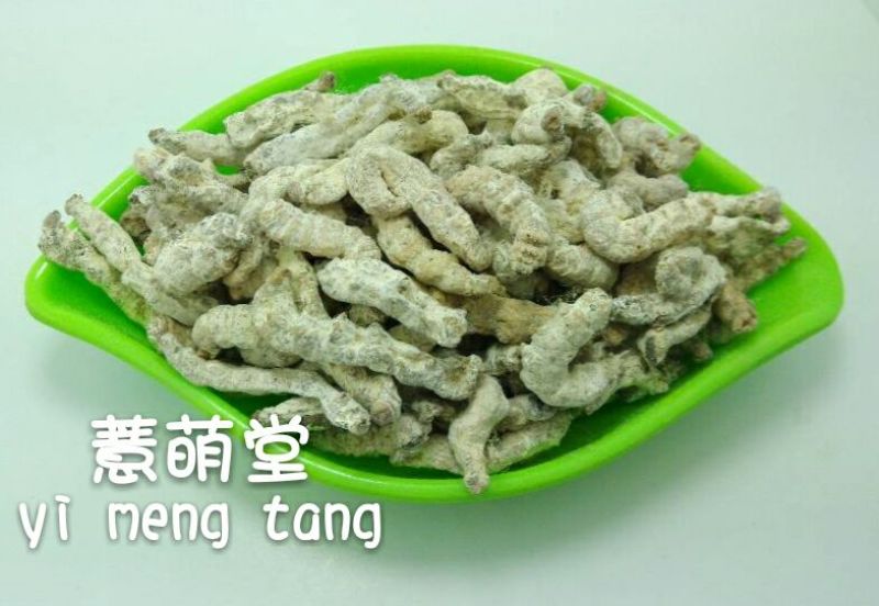 僵蚕