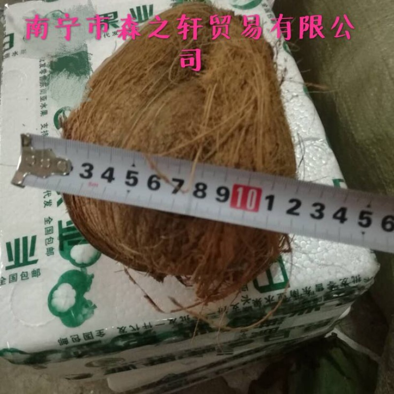 椰子