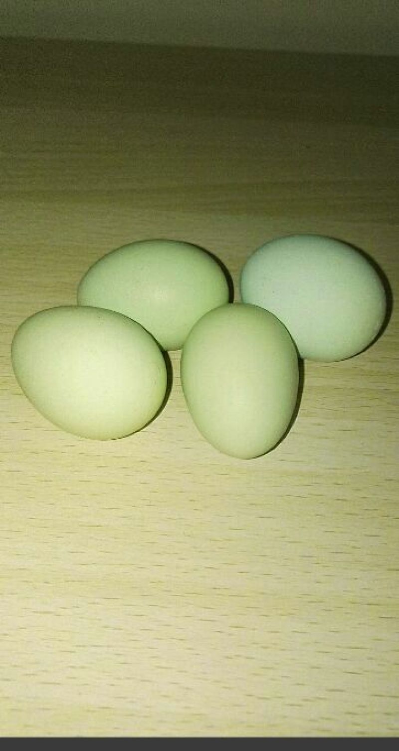 土鸡蛋食用40~50g