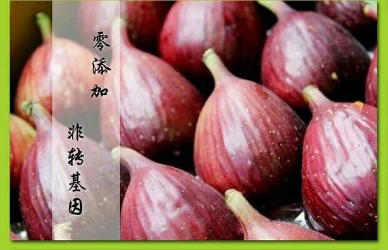 无花果80~90g