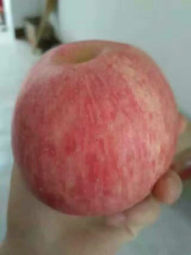 红富士苹果纸夹膜红富士