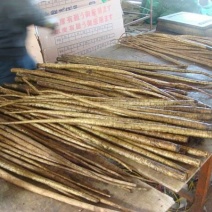 牛蒡牛蒡丝，牛蒡茶