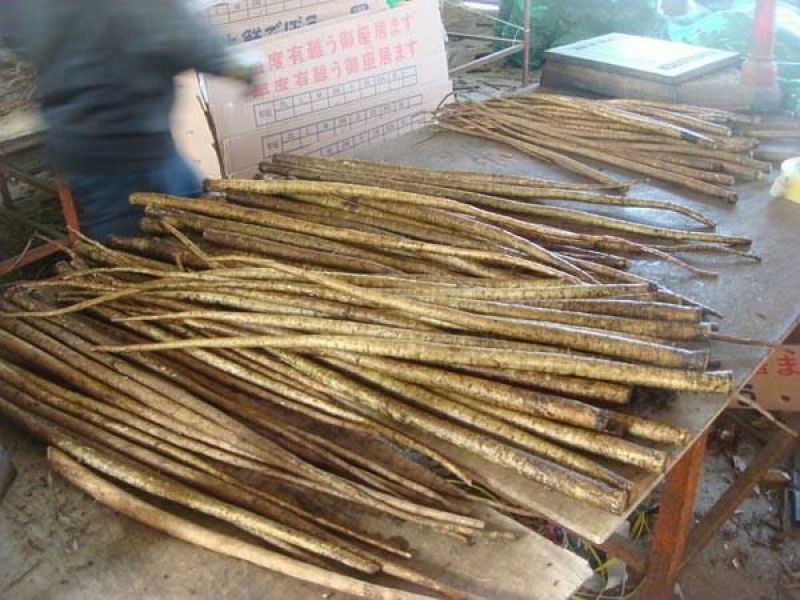 牛蒡牛蒡丝，牛蒡茶