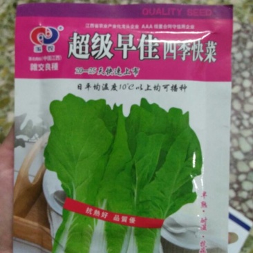 快菜20~25cm