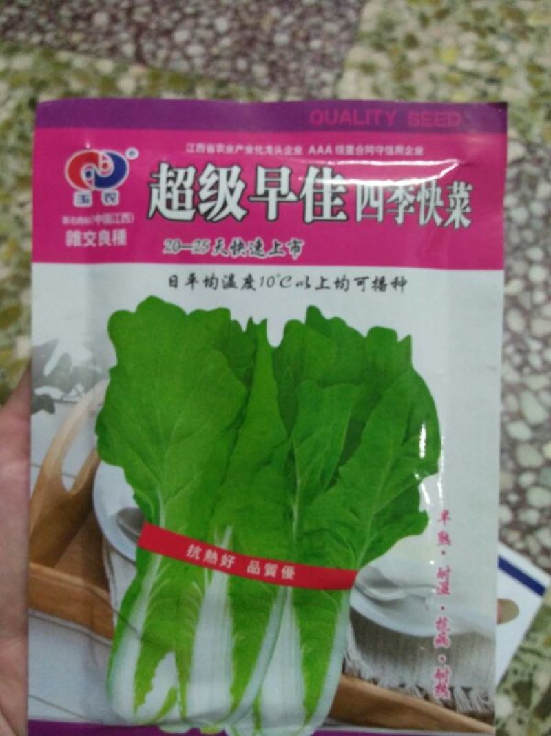 快菜20~25cm