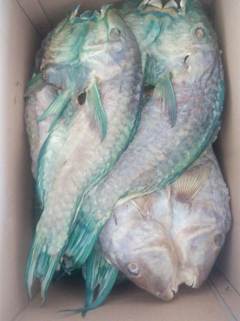 鱼干