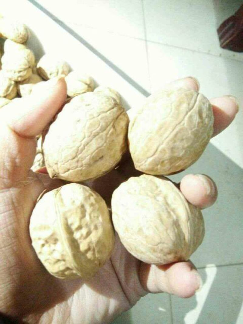 薄皮核桃去皮干