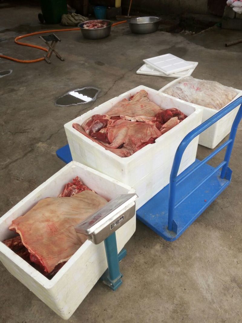 驴肉