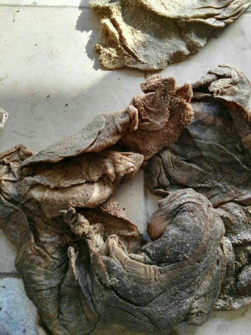 羊毛