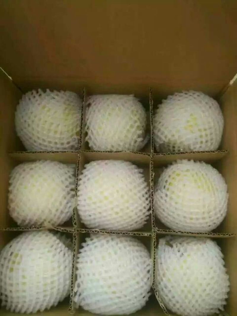 梨200~250g膜袋