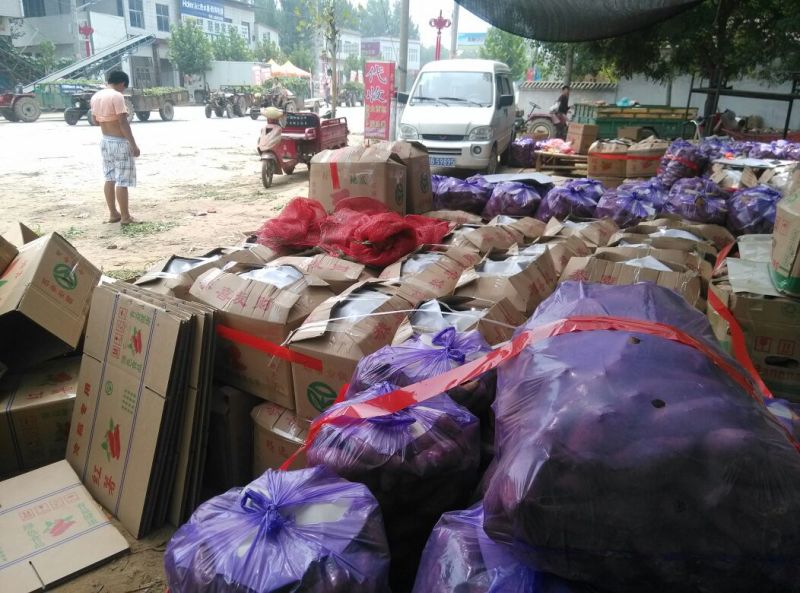 龙薯9号黄心3两以上。产品源自产地，诚信经营现挖现发