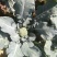 耐寒优秀西兰花0.8~1.2斤