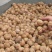 核桃去皮干